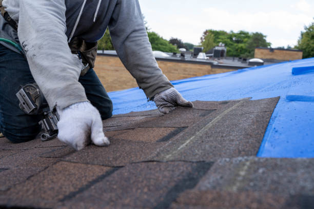 Best Roof Restoration Services  in Wellsville, KS