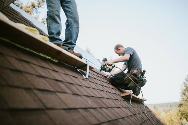 Best Roof Gutter Cleaning  in Wellsville, KS